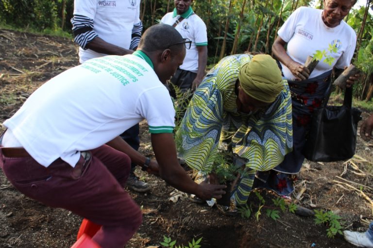 DPF-FMF: Les paysans du territoire de Masisi luttent pour la justice climatique en plantant des arbres légumineux